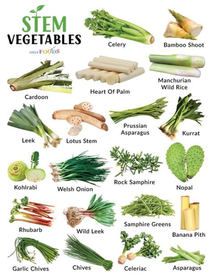 What types of stems do we eat