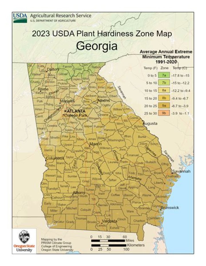 What USDA zone is Savannah GA