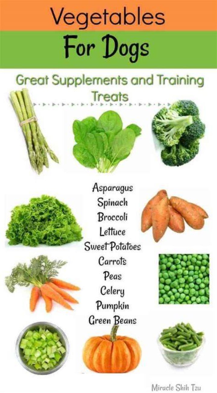 What vegetables can dogs eat everyday