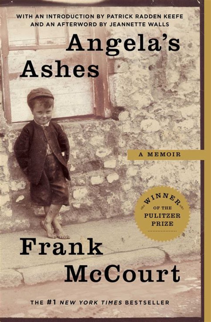 What was Angelas Ashes about