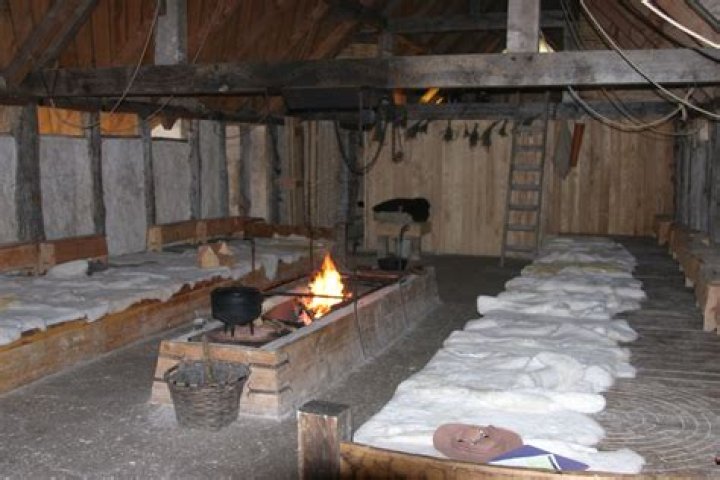 What was inside Viking houses
