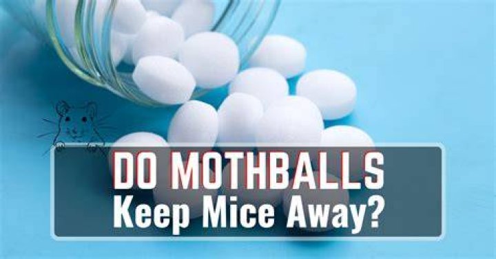 What will mothballs keep away