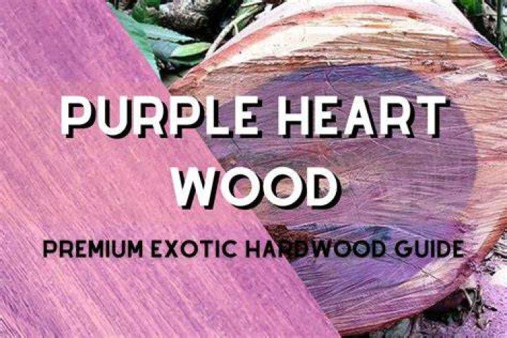 What wood is naturally purple