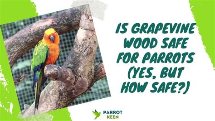 What woods are safe for birds