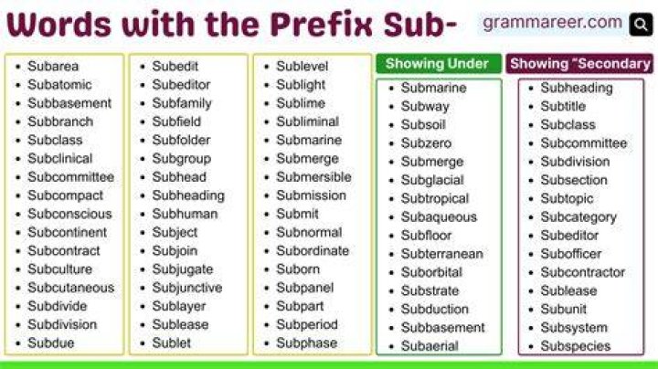 What words use the prefix sub
