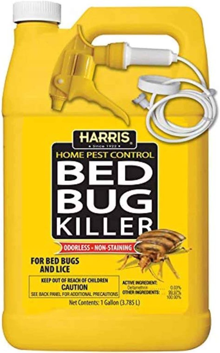 Whats the best bed bug spray