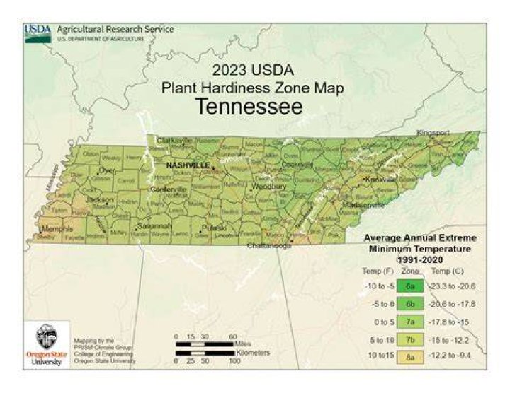 When can I plant in Tennessee