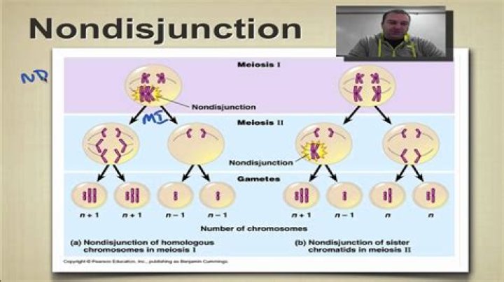 When can Nondisjunction occur