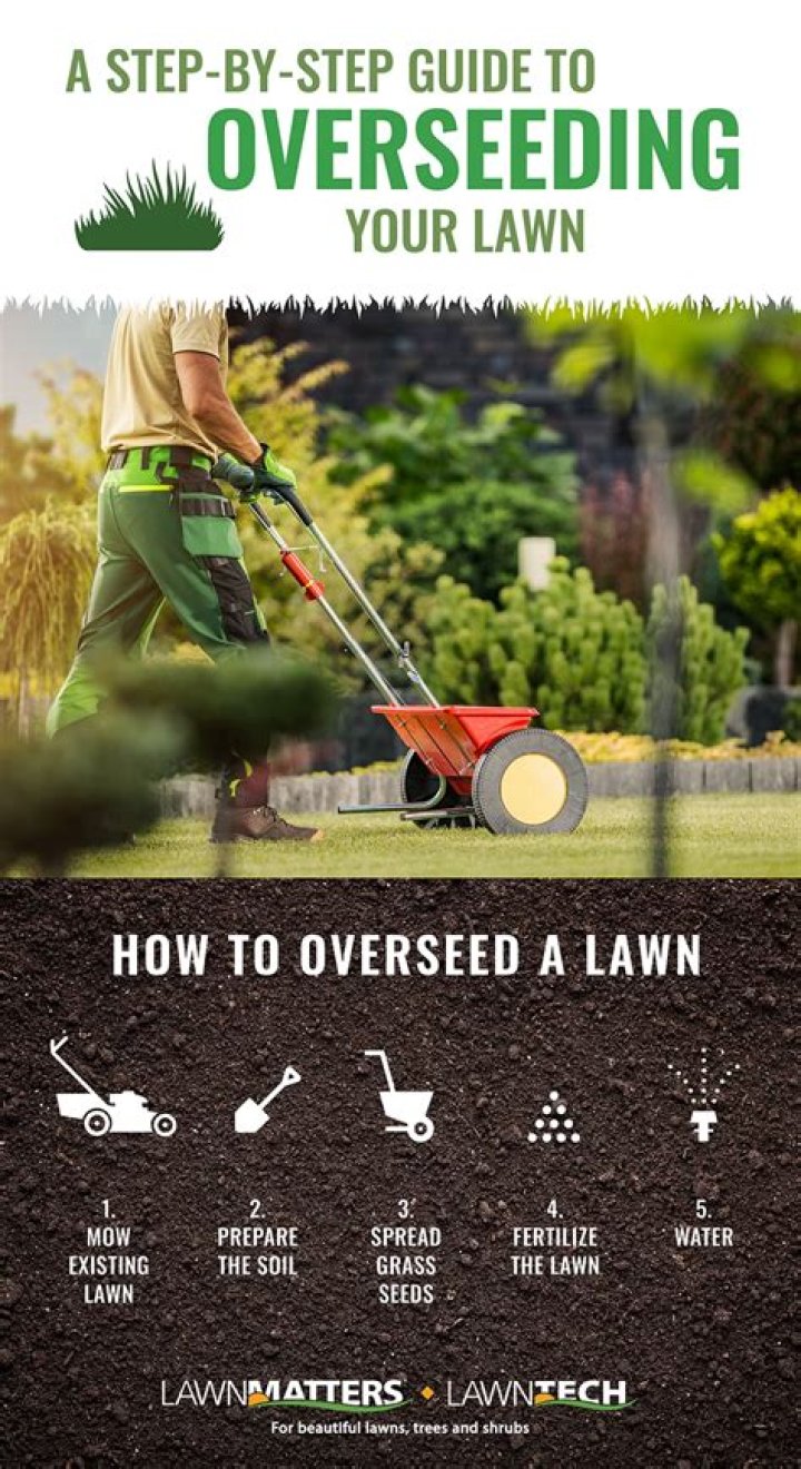 When can you reseed your lawn