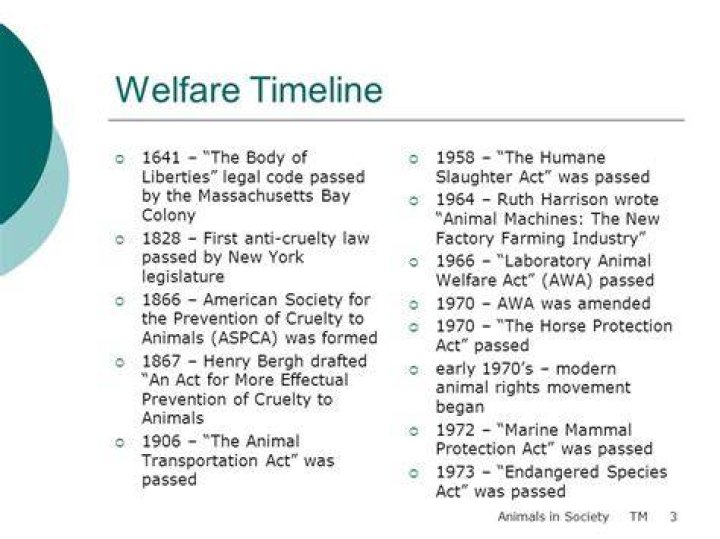 When did welfare begin in USA