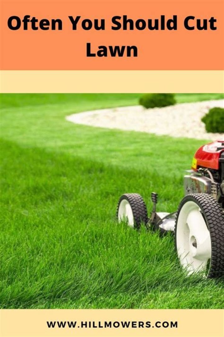 When should I cut my new lawn