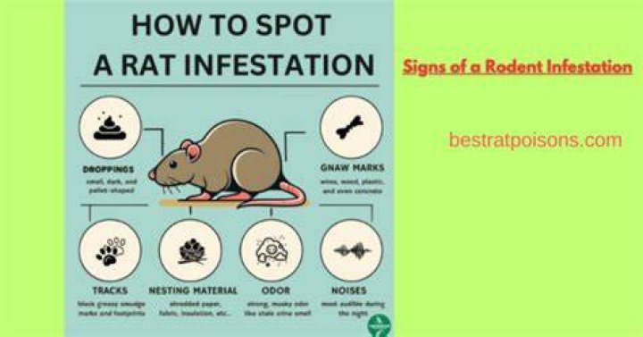 Which is a sign of a possible rodent infestation
