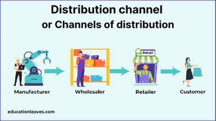 Which of the following are examples of distribution channels