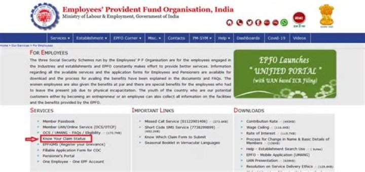 Who can check PF status online
