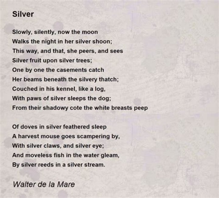 Who is the poet of the poem silver