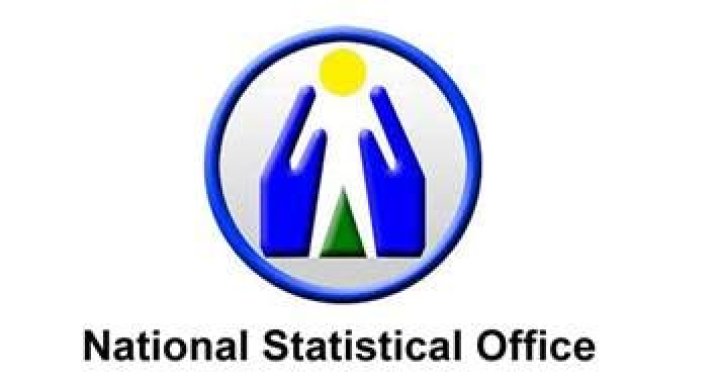 Who will chair the National Statistical Office NSO