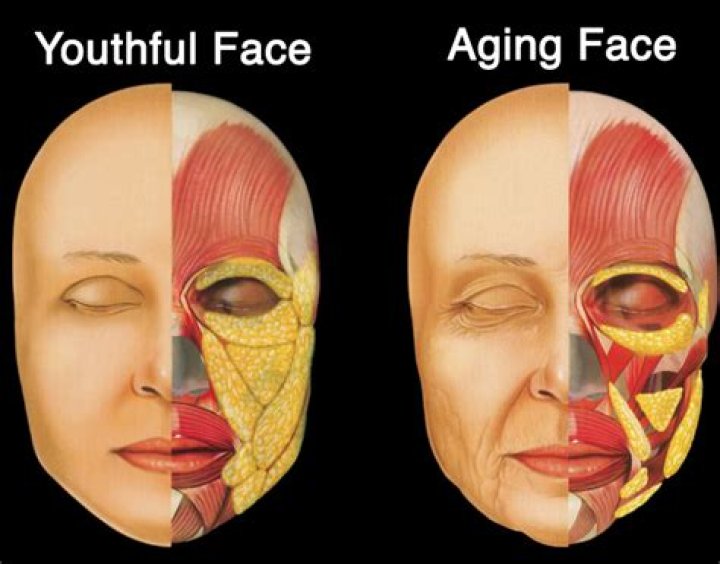Why does your face change shape as you get older