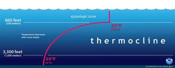 Why is there a thermocline in ocean waters