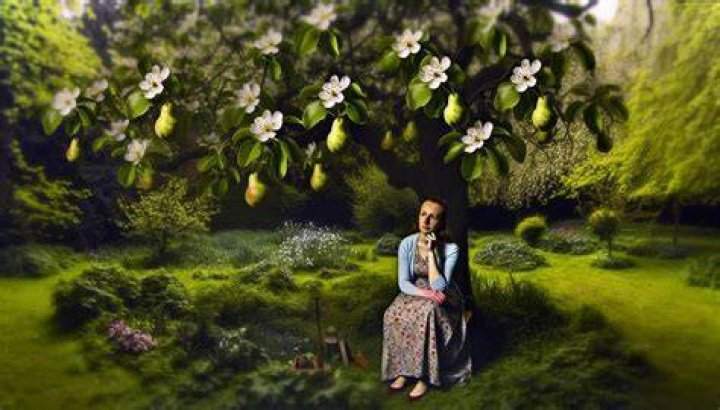 Will Tea Cake give Janie her pear tree